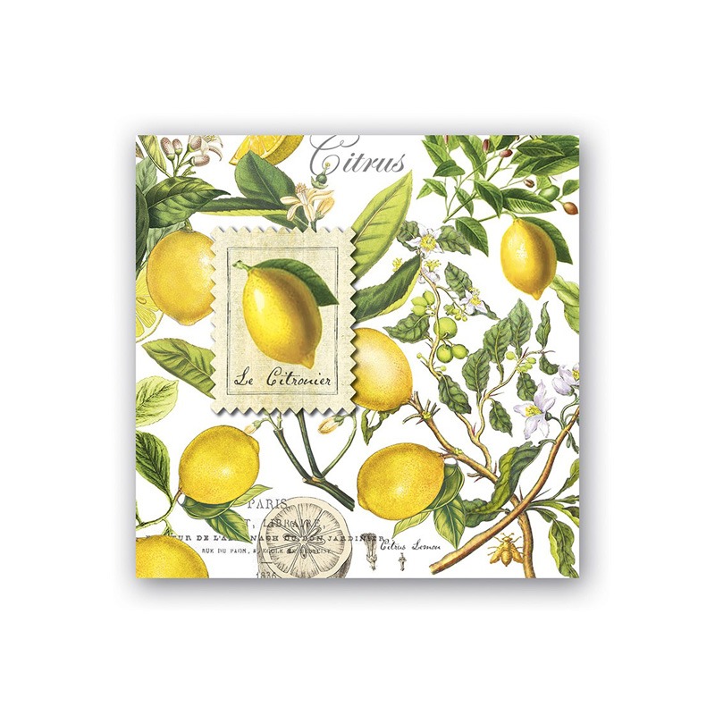 GUARDANAPO LANCHE LEMON BASIL - MICHEL DESIGN WORKS